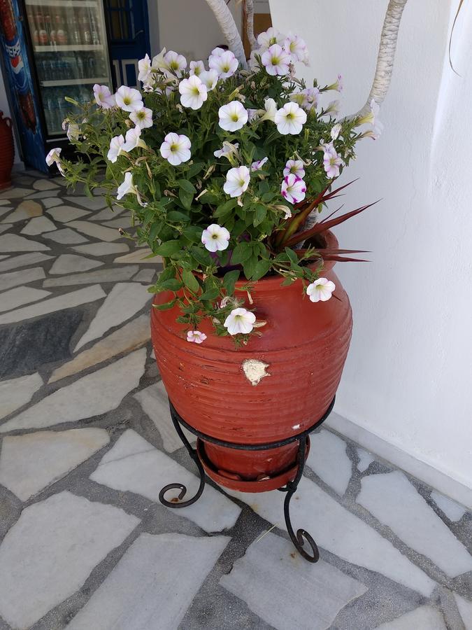 Appart hôtel Anna 3*